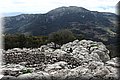 P4272933.JPG