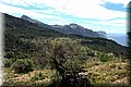 P4272953.JPG