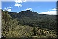 P4272954.JPG
