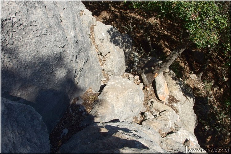 P4302995.JPG