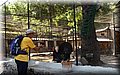 P4303005.JPG