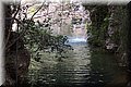 P5040004.JPG