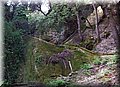 P5040013.JPG