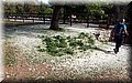 P5040021.JPG