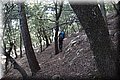 P5040022.JPG