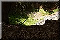 P5040029.JPG