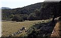 P5040032.JPG