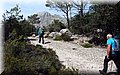 P5040035.JPG