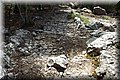 P5040037.JPG