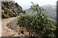 P5040077.JPG