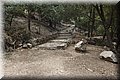 P5040079.JPG