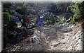 P5070092.JPG