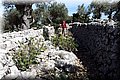 P5070177.JPG