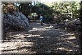P5110182.JPG
