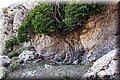 P5110201.JPG
