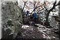 P5110270.JPG