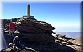 IMG-20150519-33.jpg