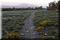 P5160036.JPG