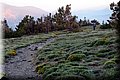 P5160038.JPG