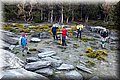 P5160046.JPG