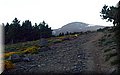 P5160053.JPG