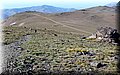 P5160078.JPG