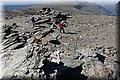 P5160089.JPG