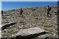 P5160178.JPG