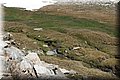 P5160184.JPG