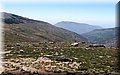 P5160250.JPG