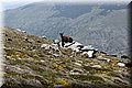 P5160264.JPG