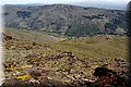 P5160269.JPG