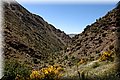 P5170350.JPG