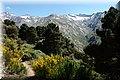 P5170368.JPG