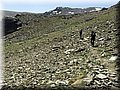 IMG-201553.jpg