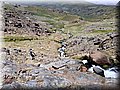 IMG-201558.jpg