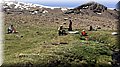 IMG-201566.jpg