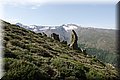 P5180383.JPG