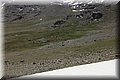 P5180392.JPG