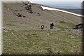 P5180403.JPG