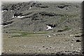 P5180406.JPG