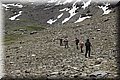 P5180408.JPG