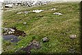 P5180420.JPG