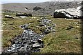P5180427.JPG