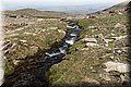 P5180439.JPG