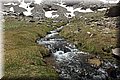 P5180440.JPG