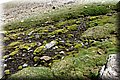 P5180446.JPG