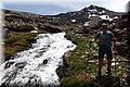 P5180494.JPG