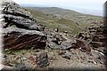 P5180507.JPG