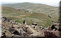 P5180508.JPG